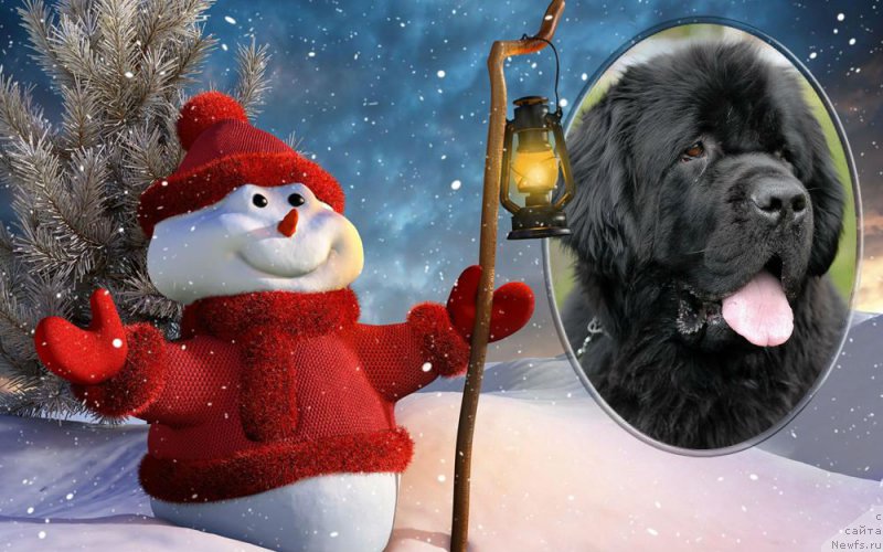 Фотография № 171473