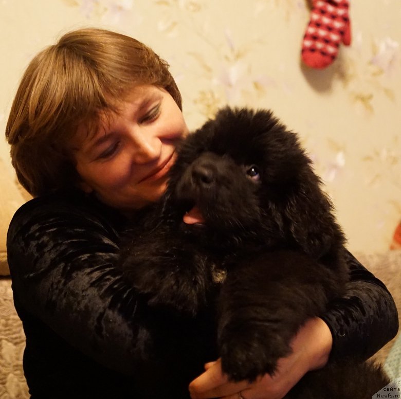 Фото: [p2678]
Шеба