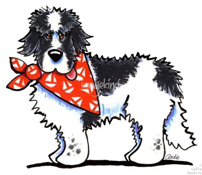 Фотография № 171527