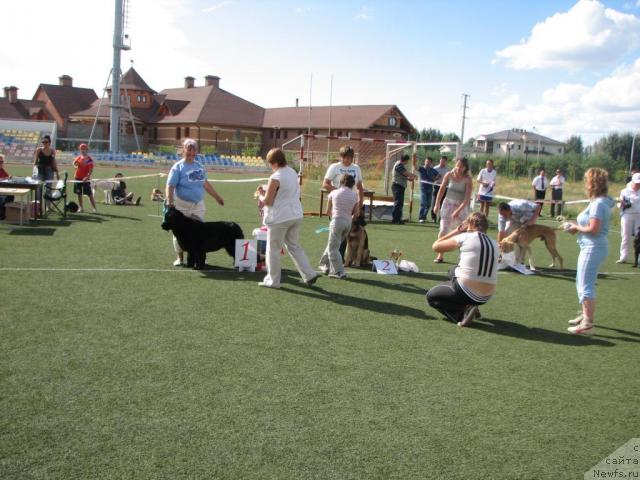 Фотография № 17161