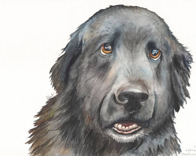 Фотография № 171618