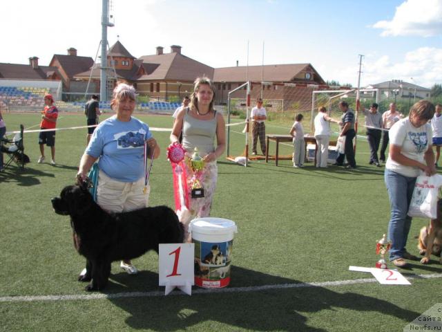 Фотография № 17162