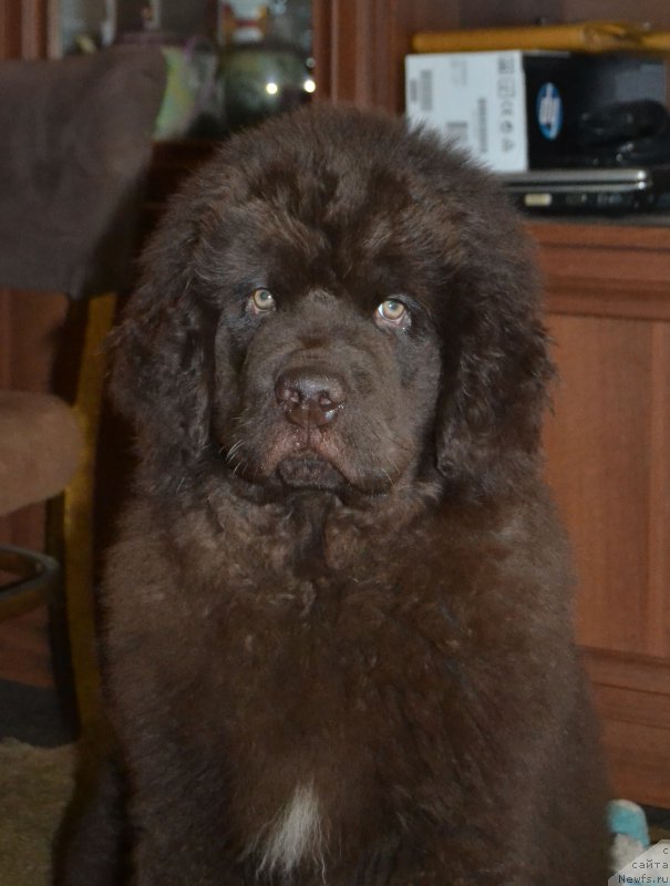 Фотография № 171638