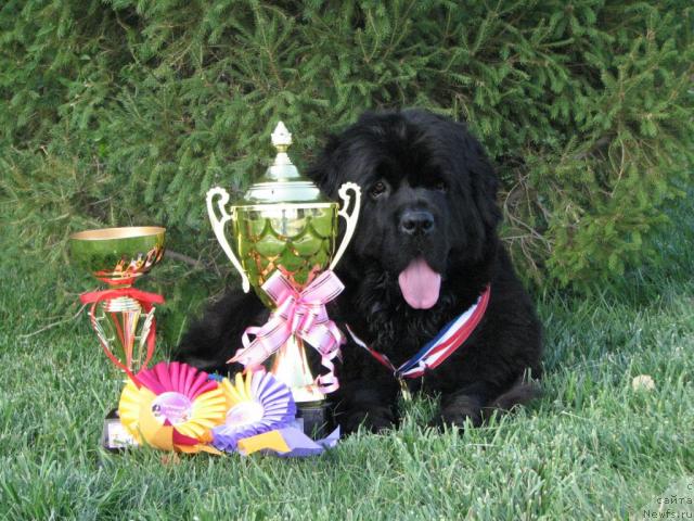 Фотография № 17164