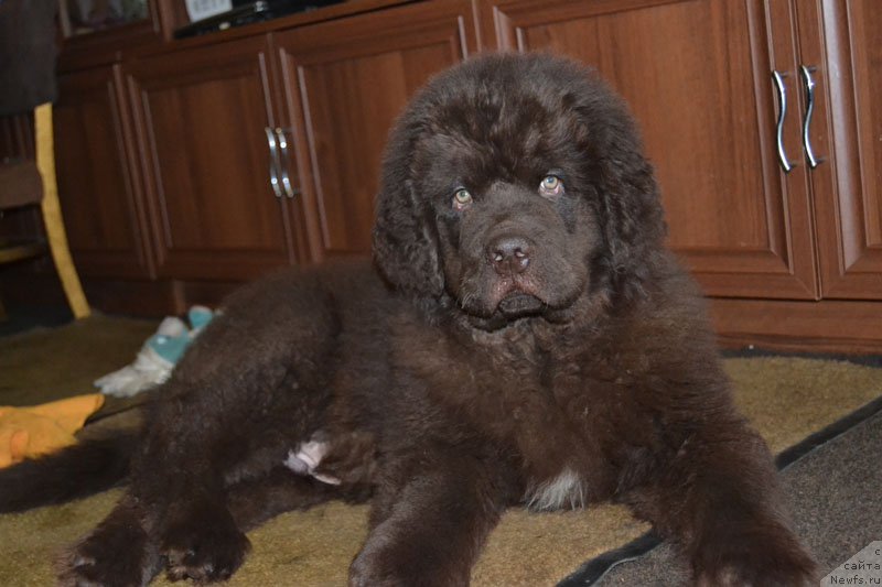 Фотография № 171641