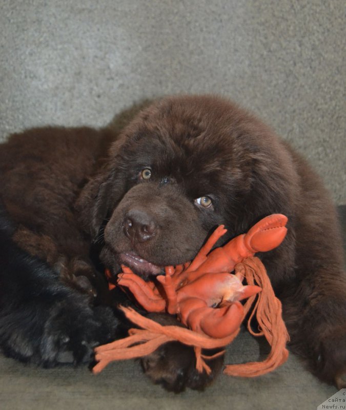 Фотография № 171643