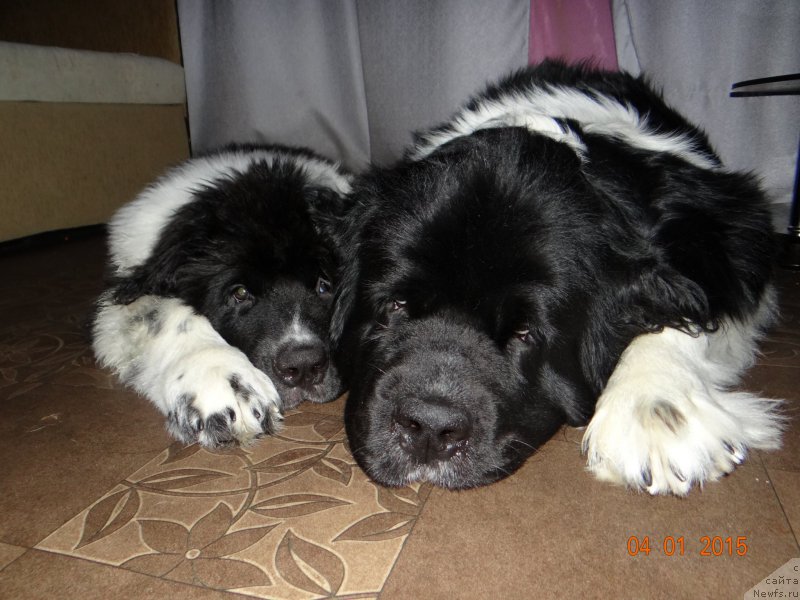 Фото: [d13810][d11740]