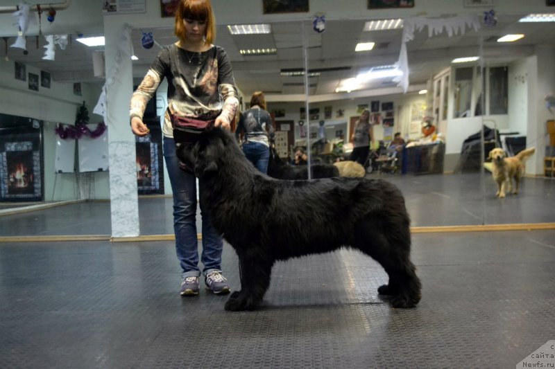 Фотография № 171673