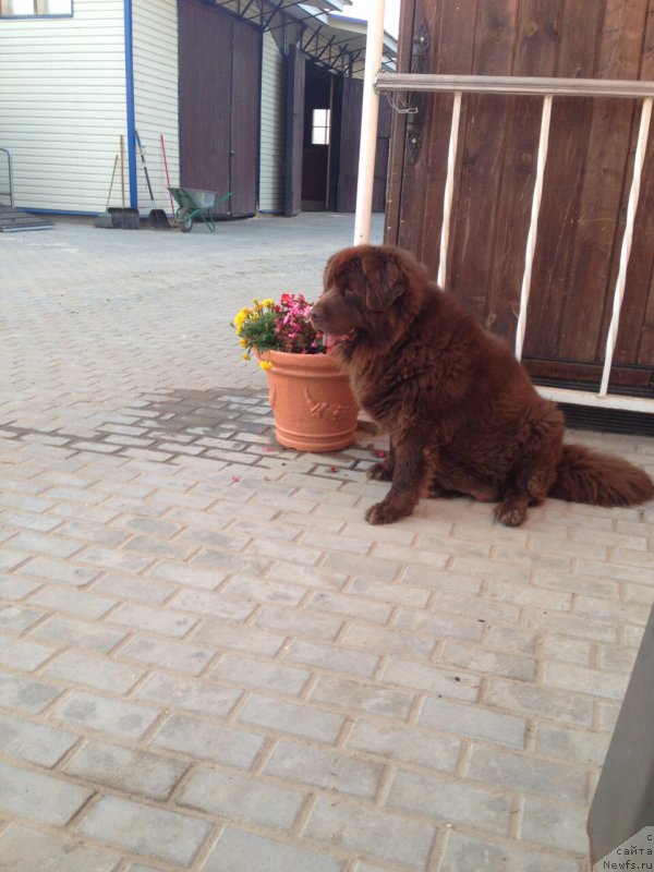 Фотография № 171698