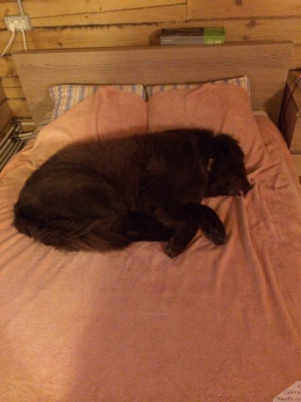 Фотография № 171700