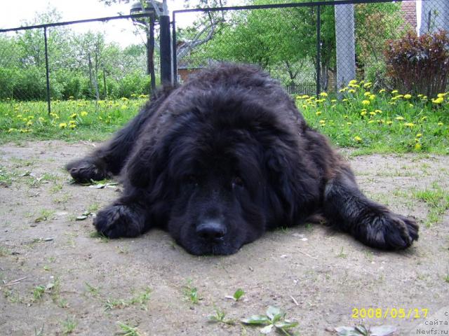 Фото: Natal'ya Korniychuk (Наталья Корнийчук)