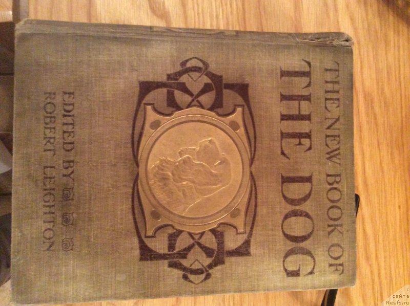 Фотография № 171741