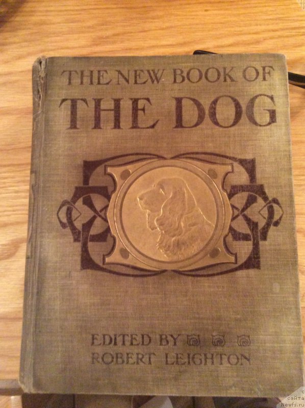 Фотография № 171744