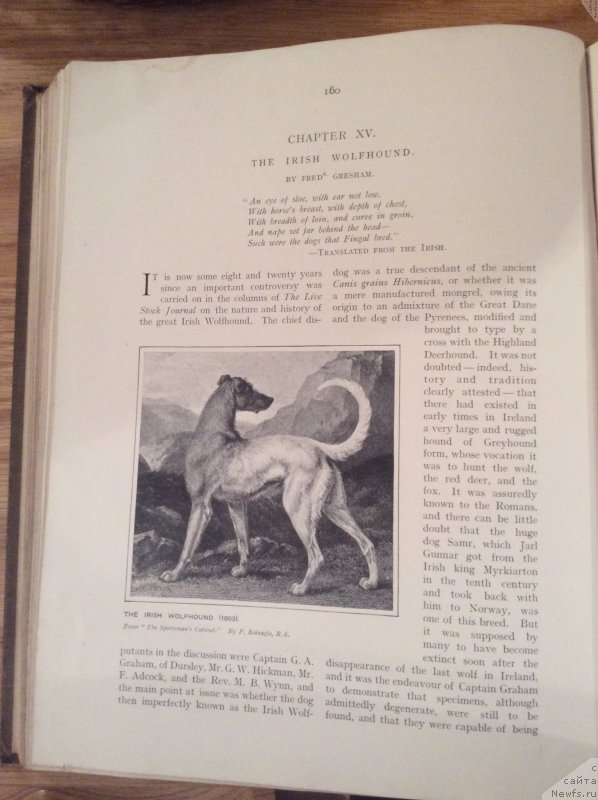 Фотография № 171745