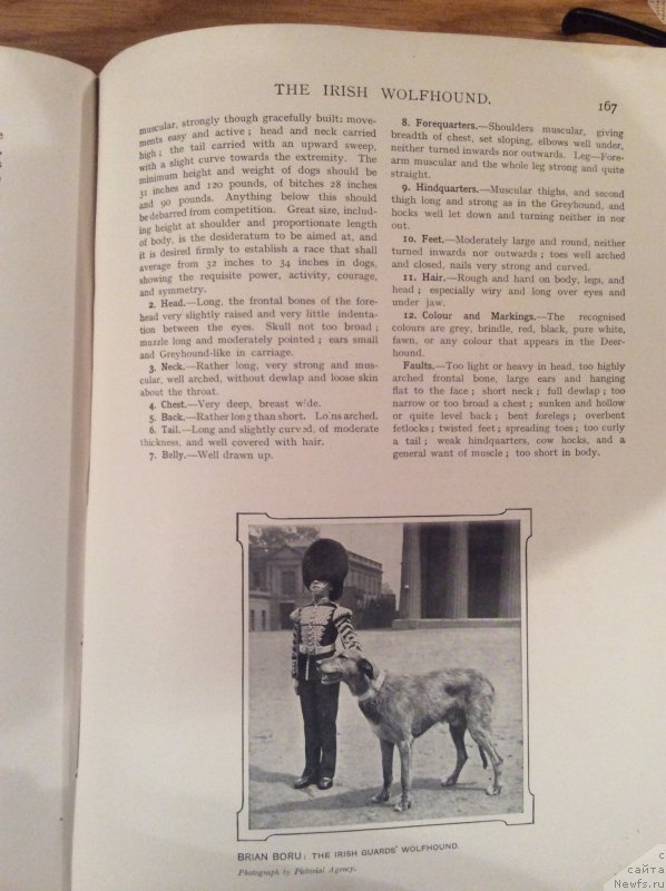 Фотография № 171746