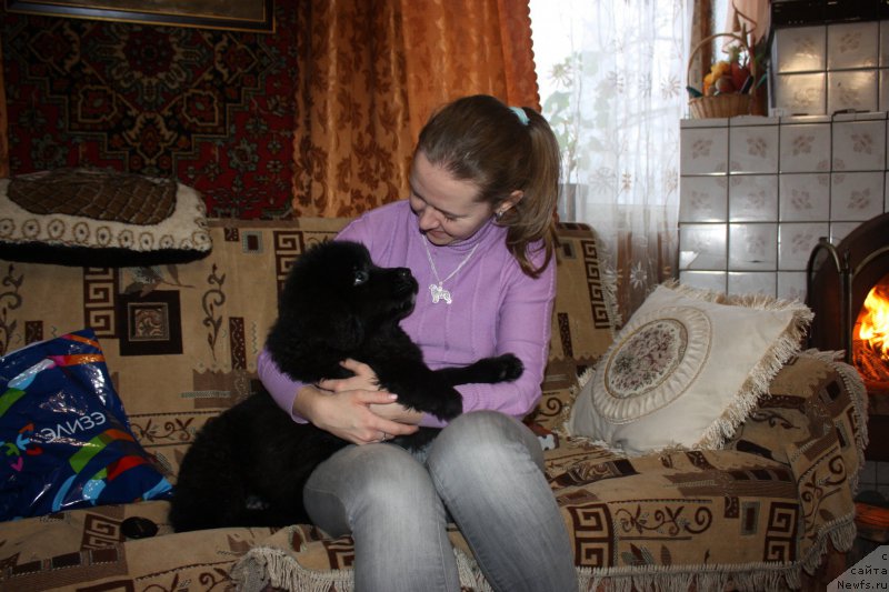 Фото: Ньюфорт Аманда Блум