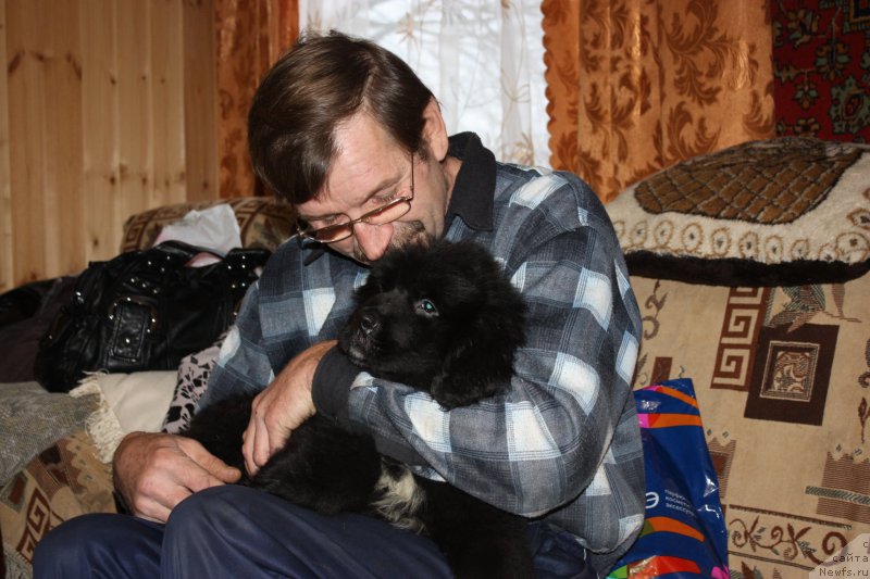 Фото: Ньюфорт Аманда Блум