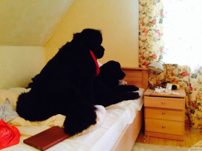 Фотография № 171873