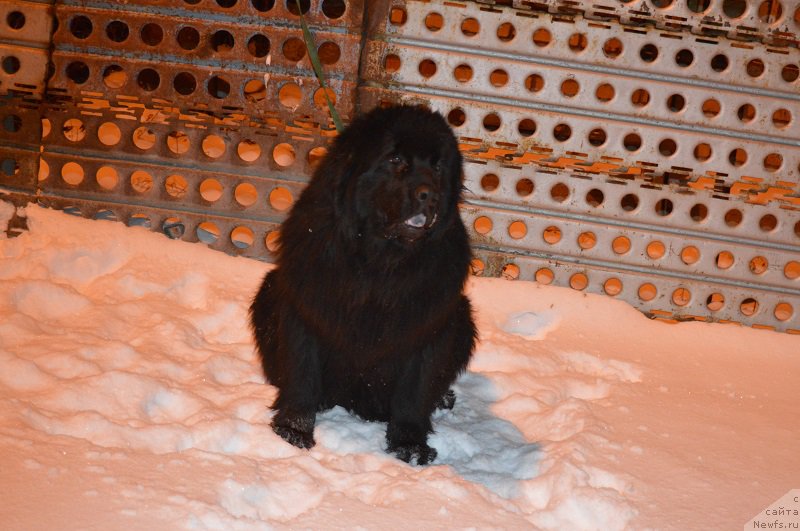 Фотография № 171939