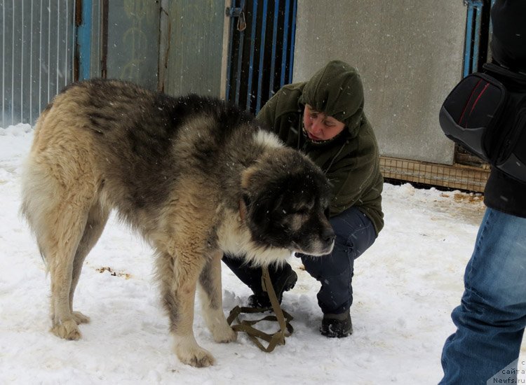 Фотография № 171960