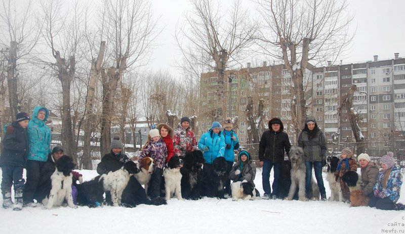 Фотография № 171979