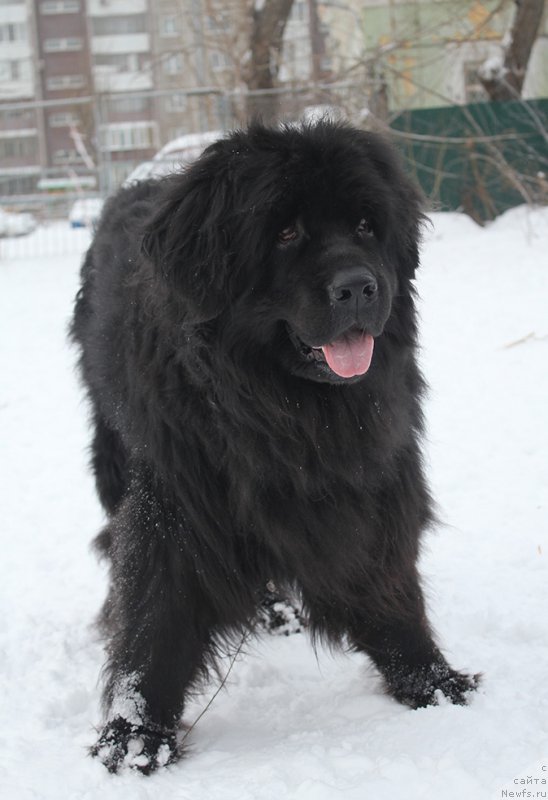 Фотография № 171980