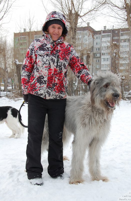 Фотография № 171982