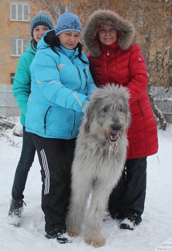 Фотография № 171983