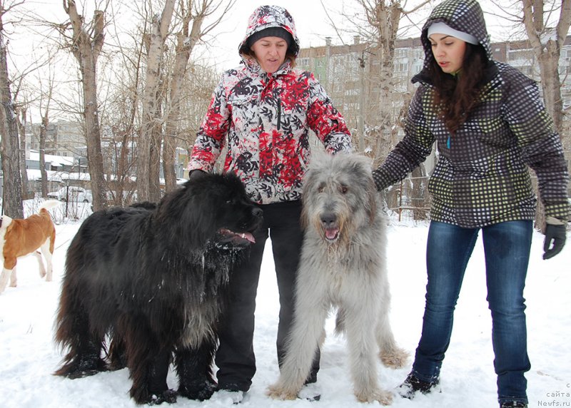 Фотография № 171984