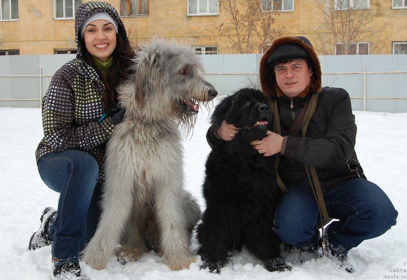 Фотография № 171985