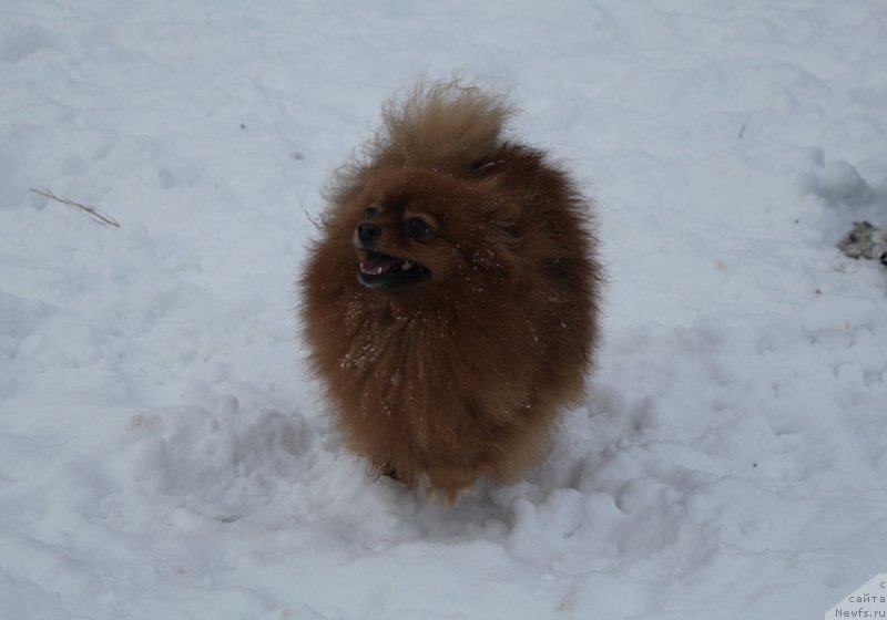 Фотография № 171987