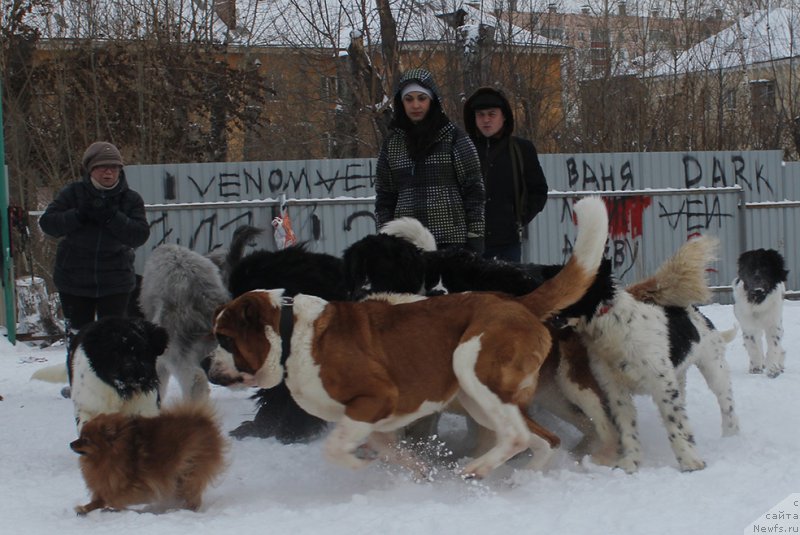 Фотография № 171991