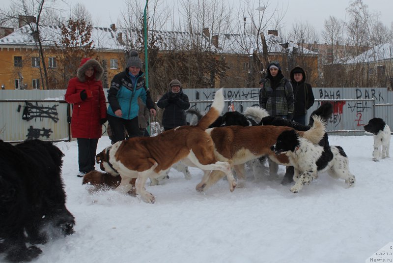 Фотография № 171992