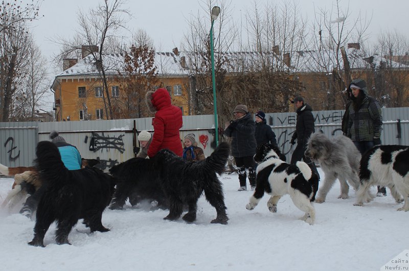 Фотография № 171995