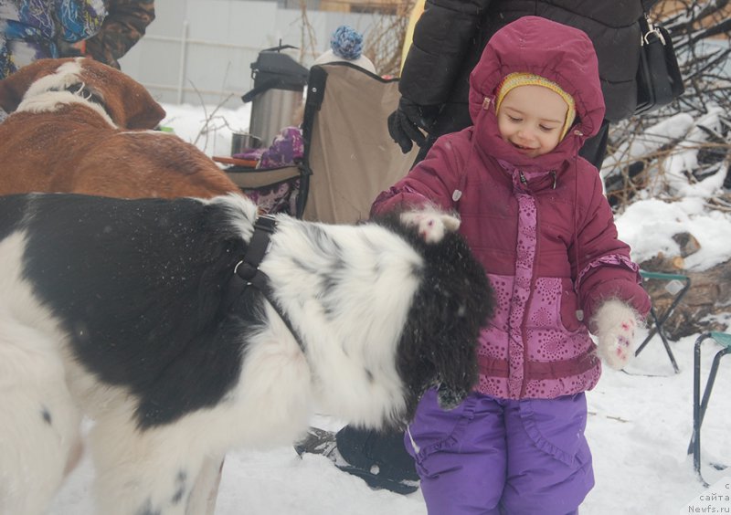 Фотография № 172001