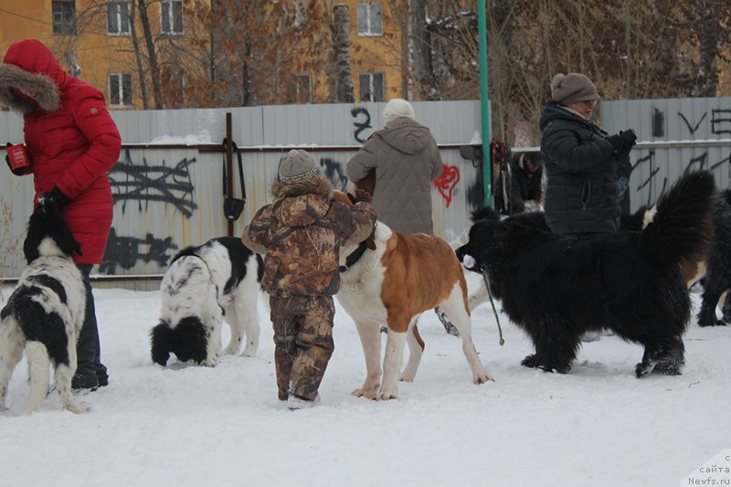 Фотография № 172002