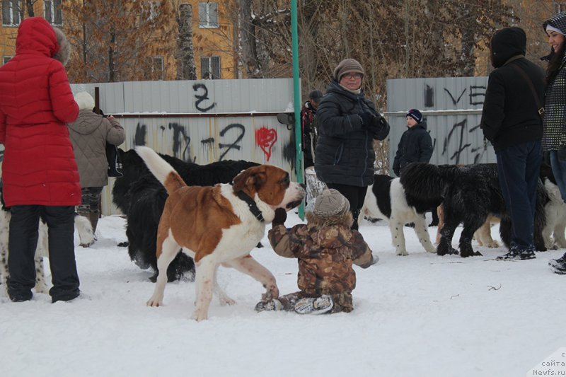 Фотография № 172005