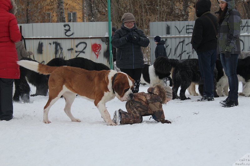 Фотография № 172006