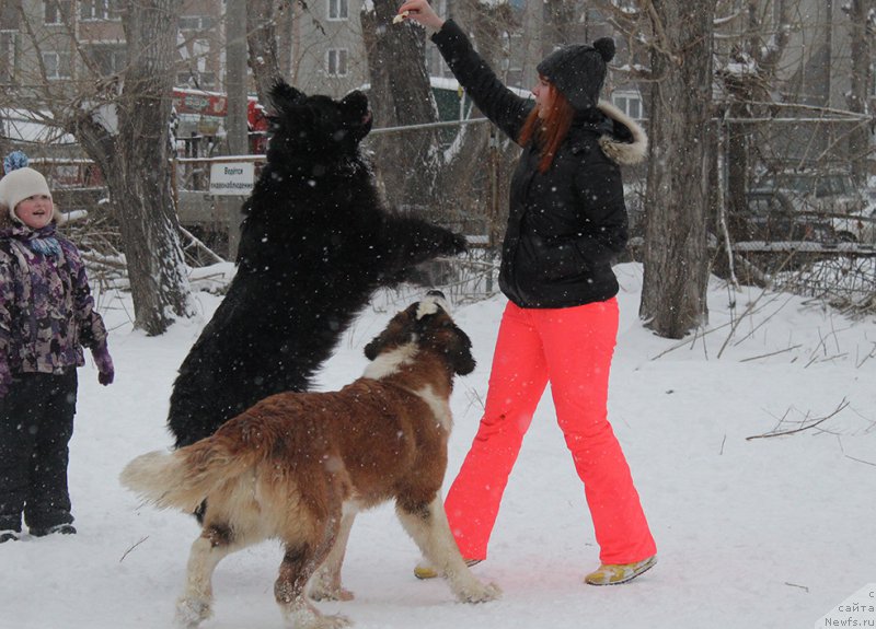 Фотография № 172008