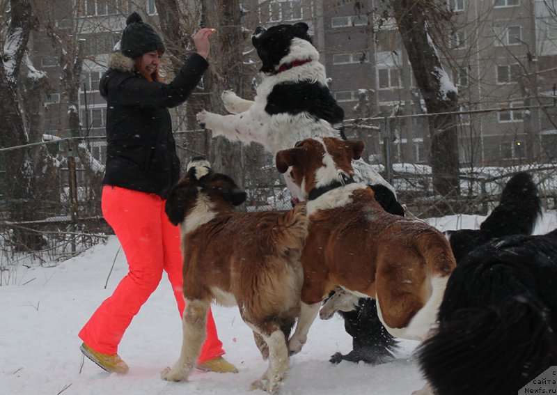 Фотография № 172010