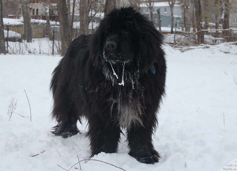 Фотография № 172011