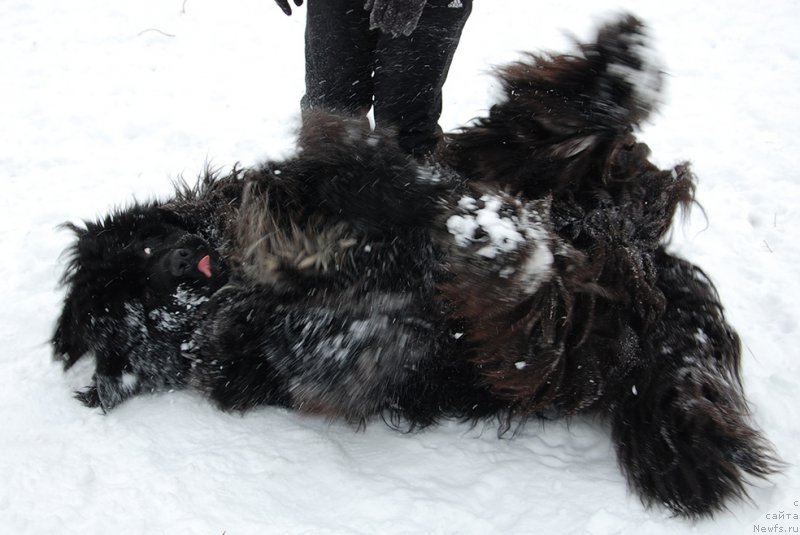 Фотография № 172012