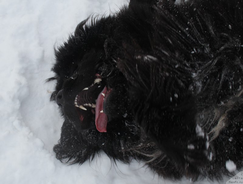 Фотография № 172013