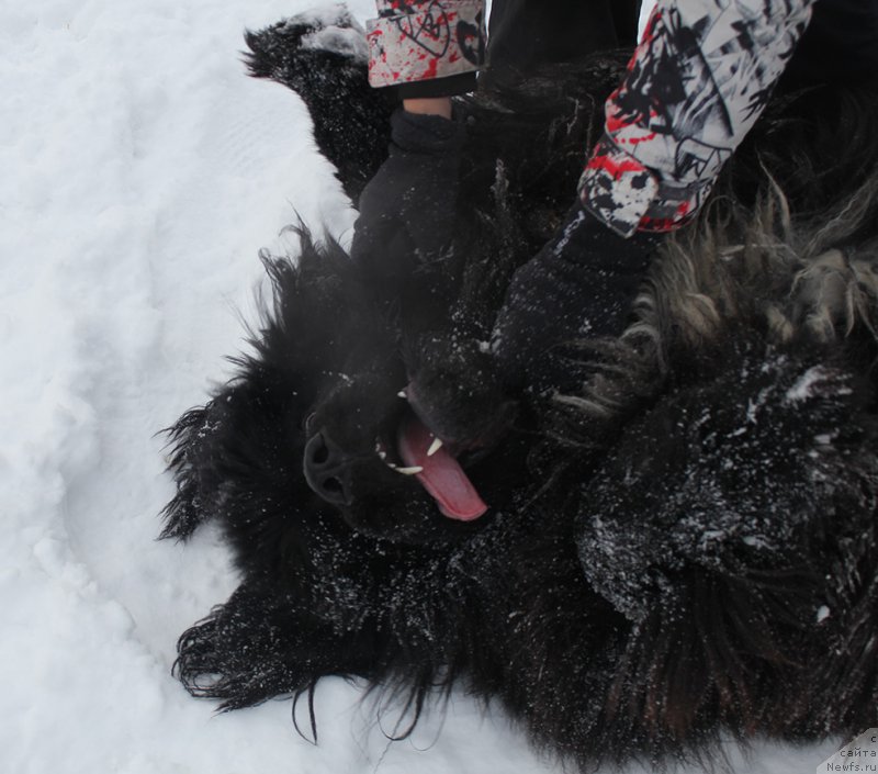 Фотография № 172014