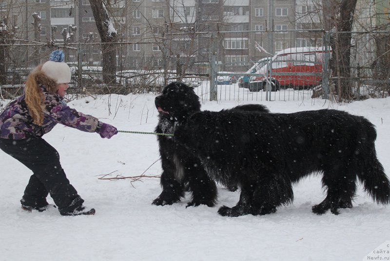 Фотография № 172016