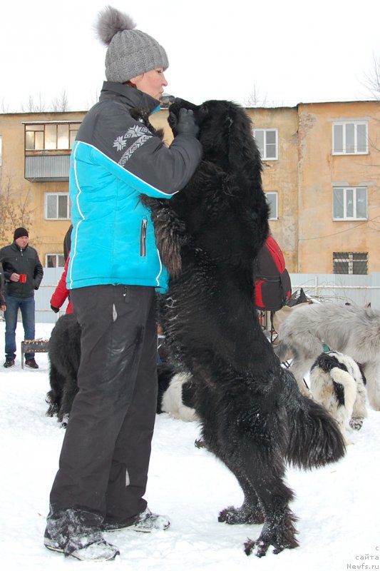 Фотография № 172022