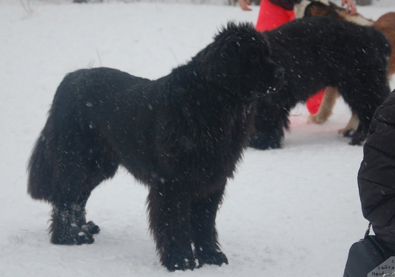 Фотография № 172023