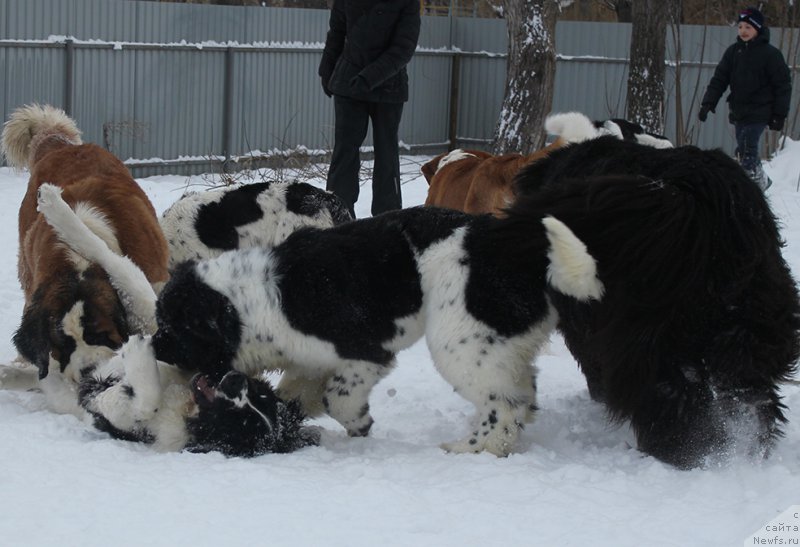 Фотография № 172028