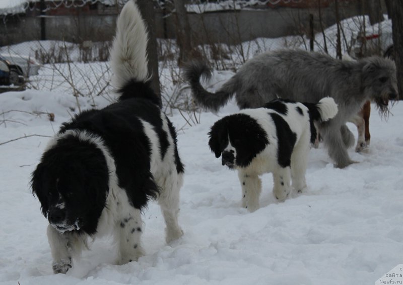 Фотография № 172032