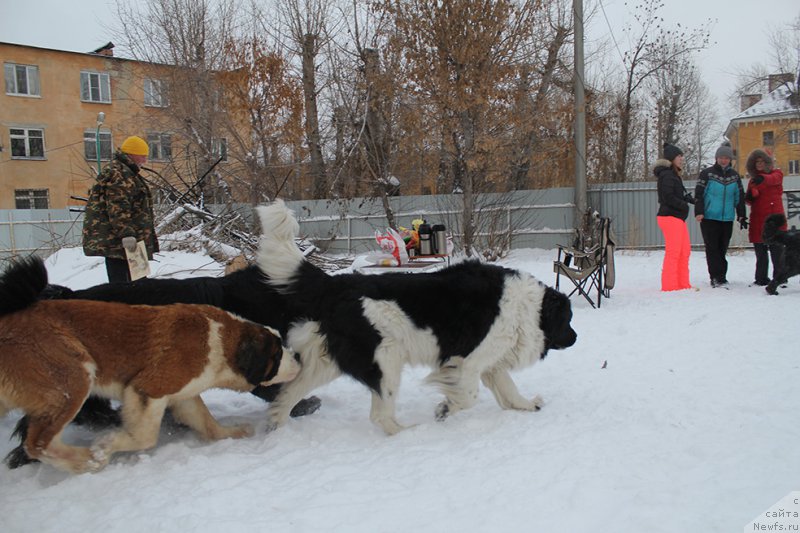 Фотография № 172034